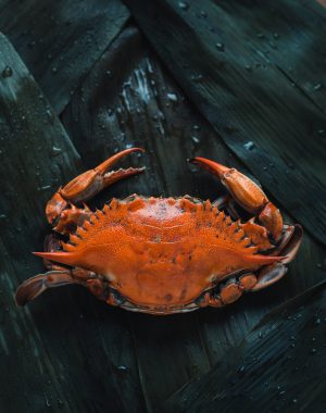 Crab-1