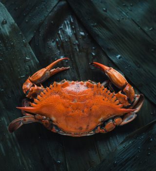 Crab-1