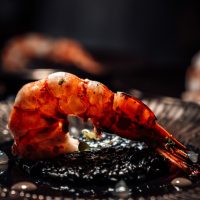 shrimp