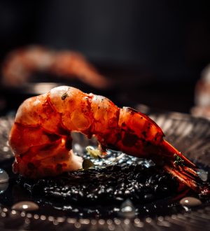 Shrimp-1