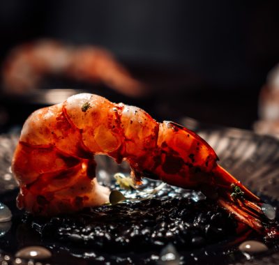 Shrimp-1