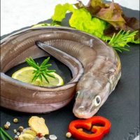 EEL